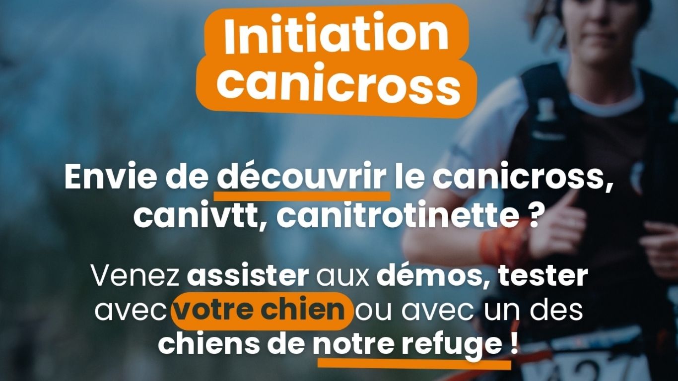 Initiation Canicross