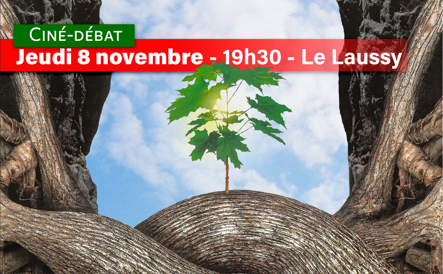 Ciné-débat L'Intelligence des arbres avec l'ONF | Ville de Gières - Les Arbres De La Paix Bande Annonce